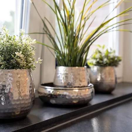 Kleiner Knurrhahn 300 M Zum شقة